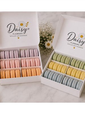 Caja de 12 macarones