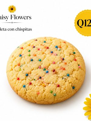 Galleta grande con chispitas