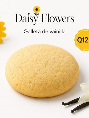 Galleta grande de vainilla