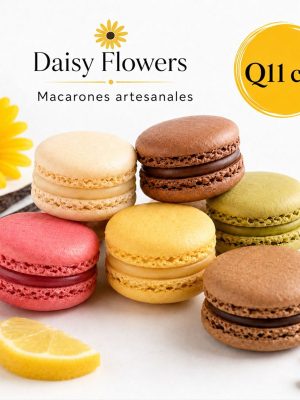 Macarones artesanales